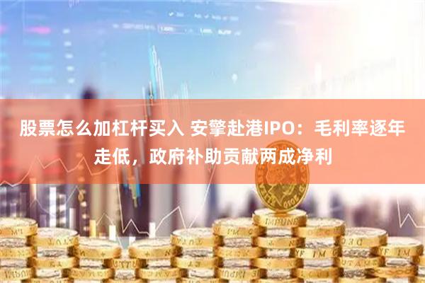 股票怎么加杠杆买入 安擎赴港IPO：毛利率逐年走低，政府补助贡献两成净利